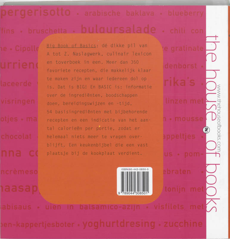 BIG BOOK OF BASICS Big Book Of Basics achterkant