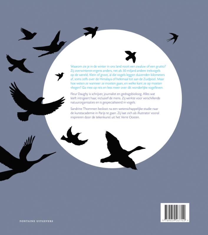 Vogels op reis achterkant