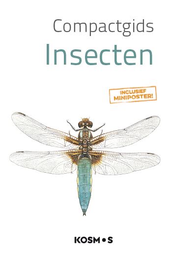 Compactgids - Insecten