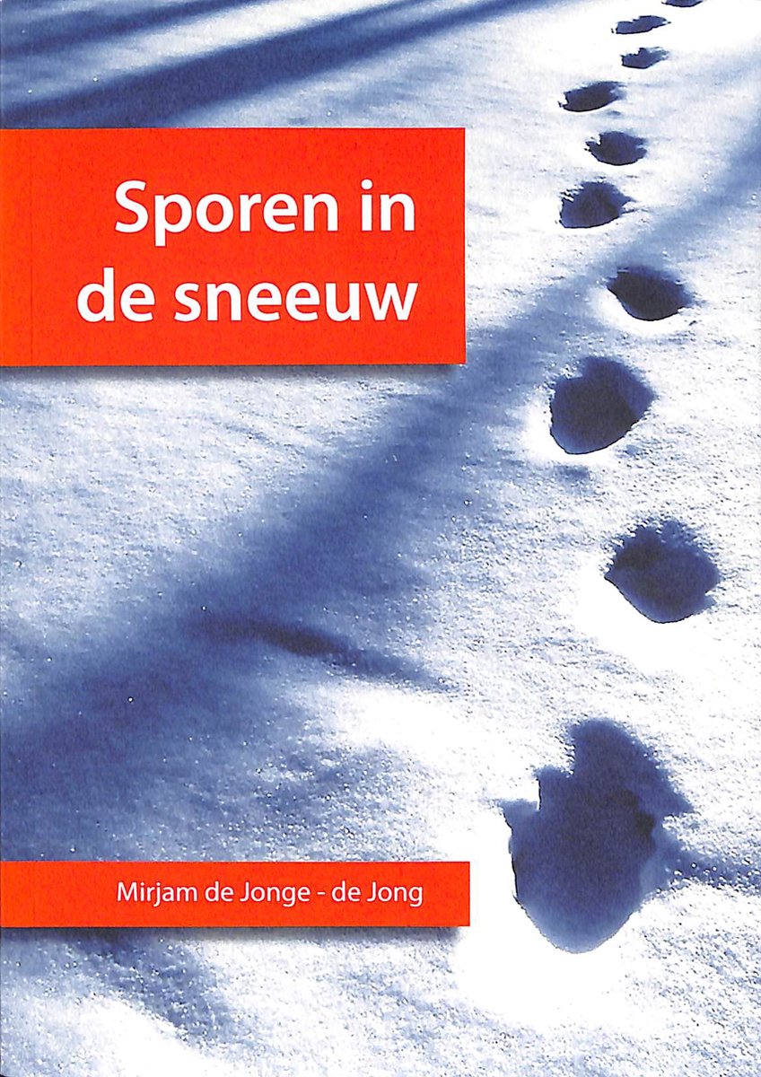 Sporen In De Sneeuw