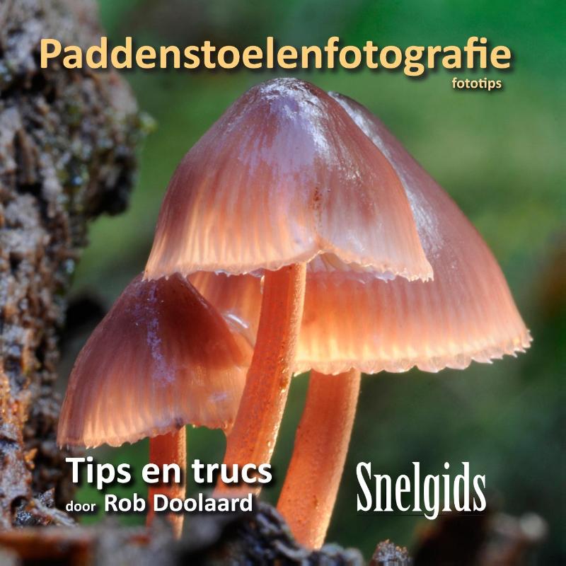 Paddenstoelenfotografie fototips