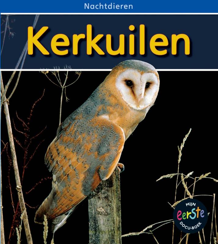 Nachtdieren - Kerkuilen