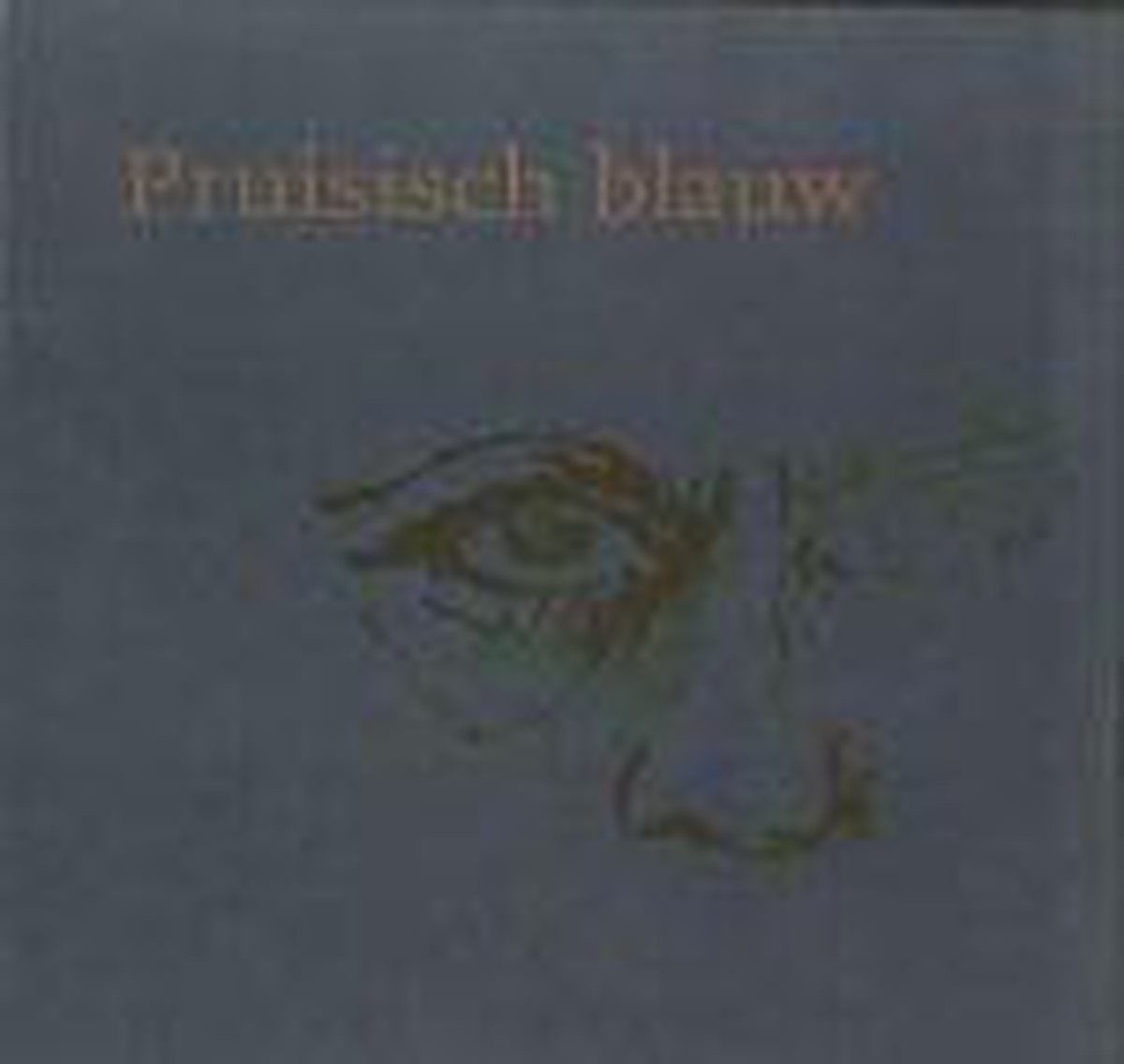 boekenbalie_9789081708319_cover Pruisisch Blauw