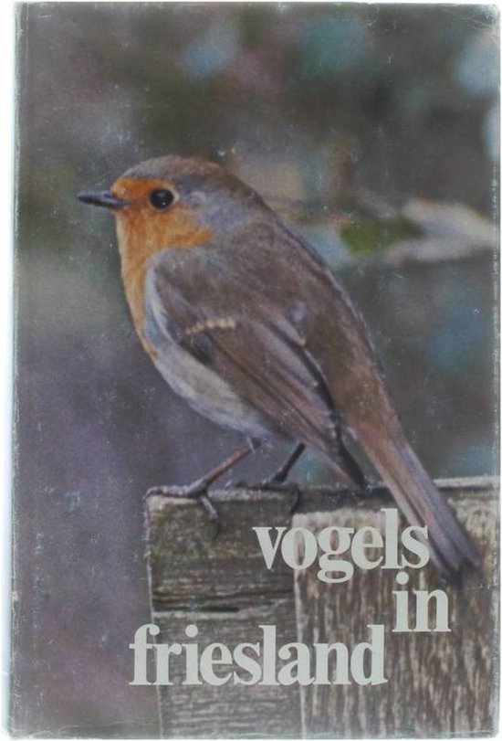 Vogels in friesland - Deel 3