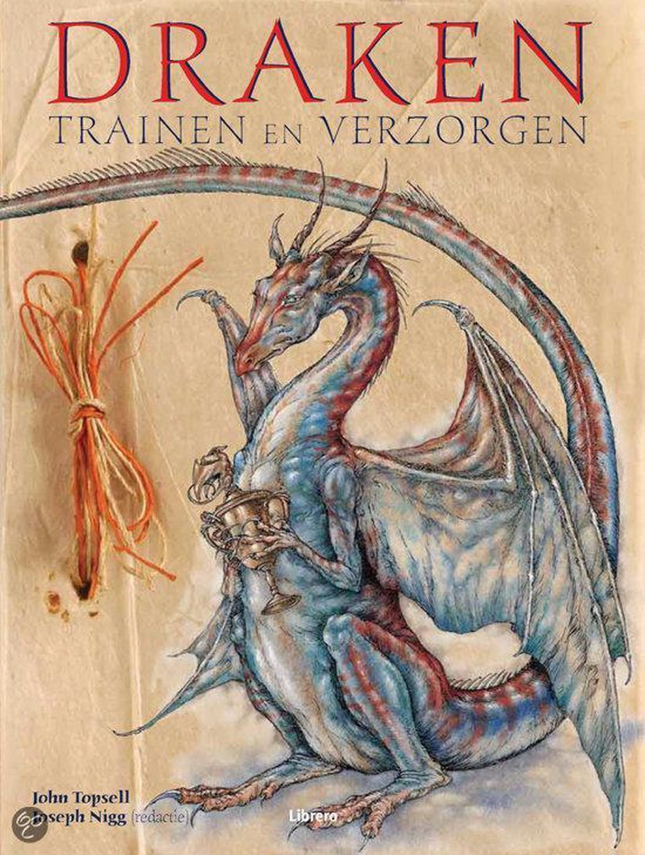 Draken Trainen En Verzorgen