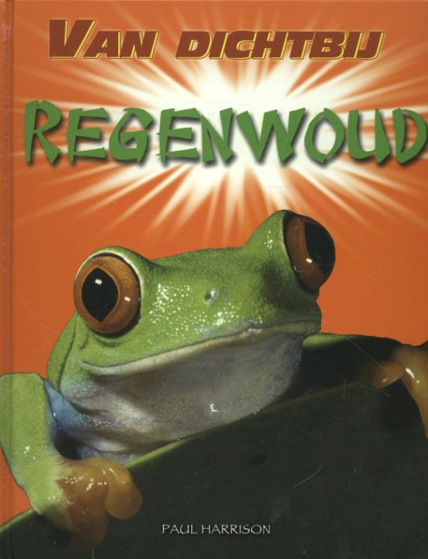 Regenwoud / Van dichtbij