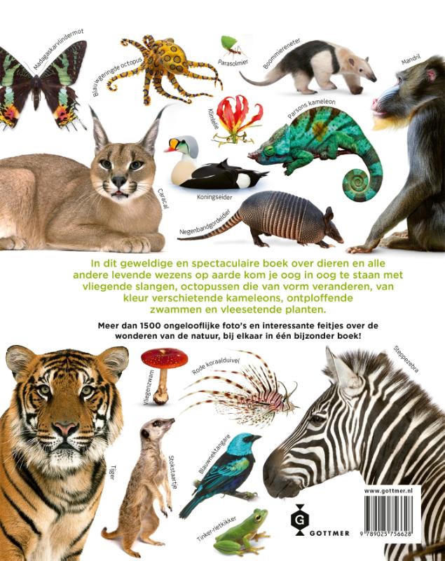 Het dierenboek achterkant