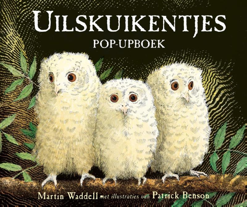 Uilskuikentjes