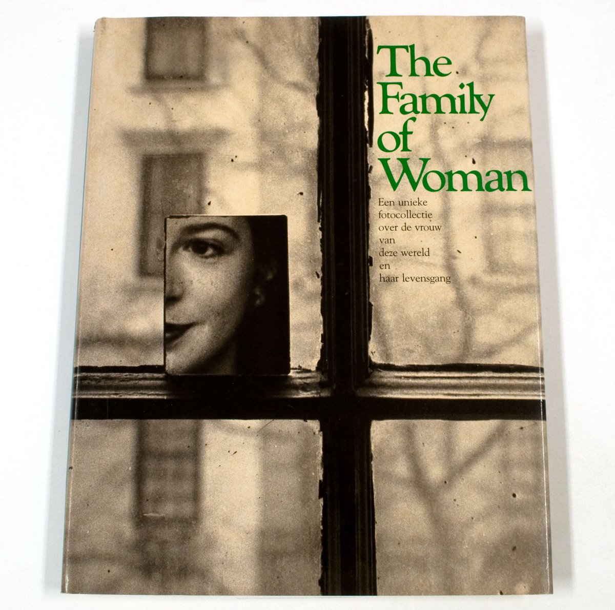 Jerry Mason The Family Of Woman thumbnail