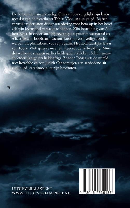 Tobias Vlek en de vergissing van Einstein Tobias Vlek en de vergissing van Einstein achterkant