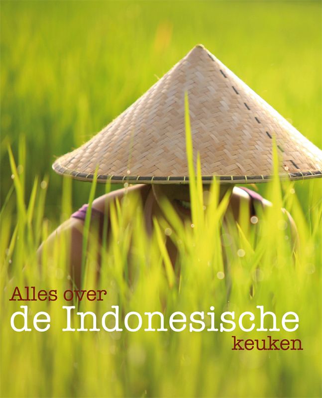 boekenbalie_9789087240691_cover De echte smaak van Indonesië