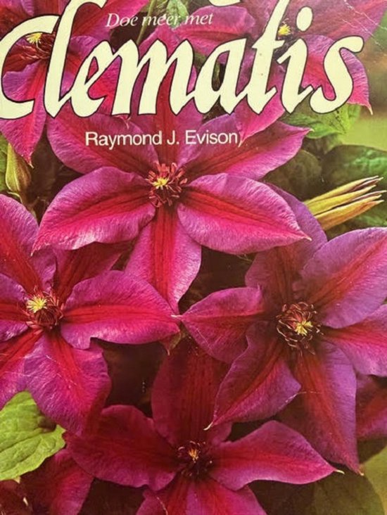 DOE MEER MET CLEMATIS