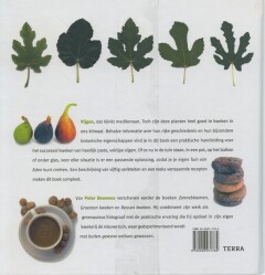 Vijgen in de Lage Landen achterkant