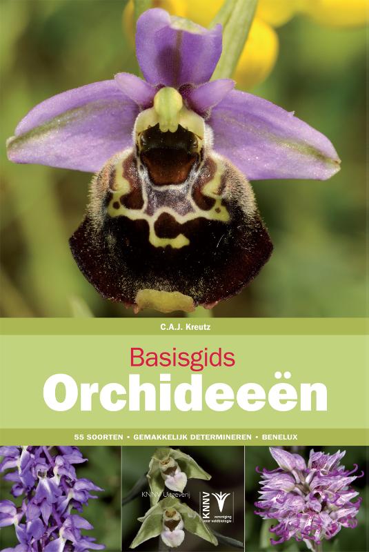 Basisgids 4 -   Basisgids orchideeën