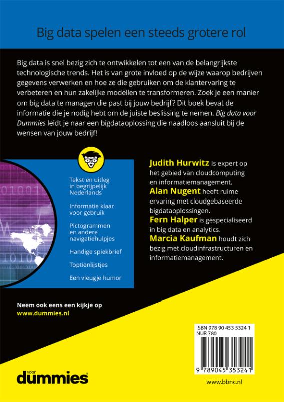 Big data voor Dummies / Voor Dummies achterkant