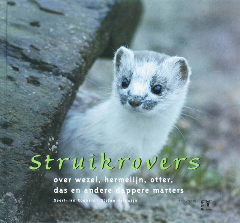 S. Halewijn Struikrovers thumbnail