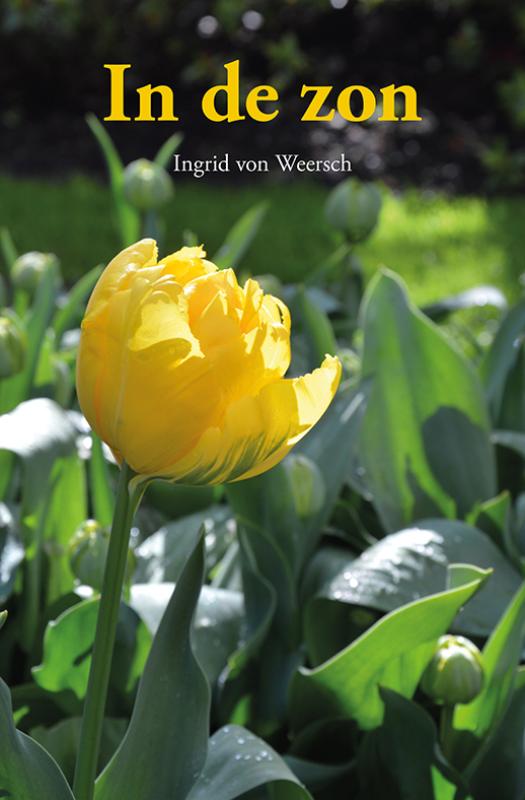 In de zon