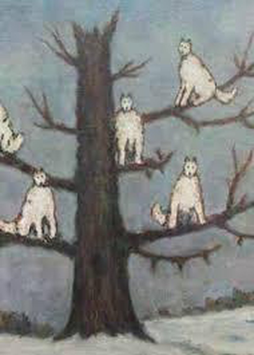 boekenbalie_9789026301698_cover De Wolfman met Uit de geschiedenis van een kinderneurose (de Wolfman) door Sigmund Freud