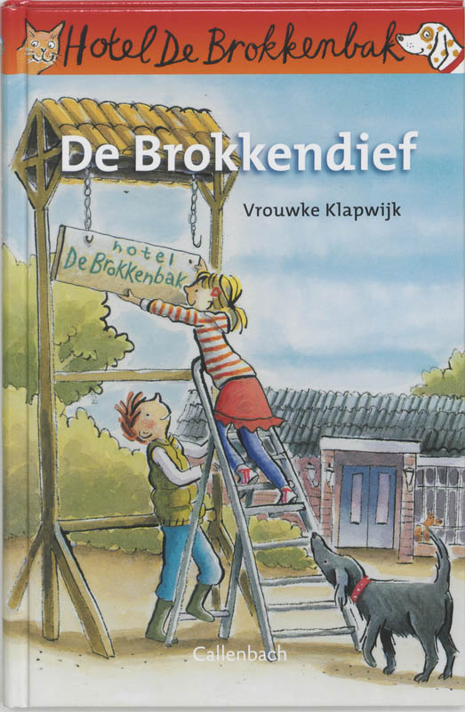 Vrouwke Klapwijk De Brokkendief thumbnail