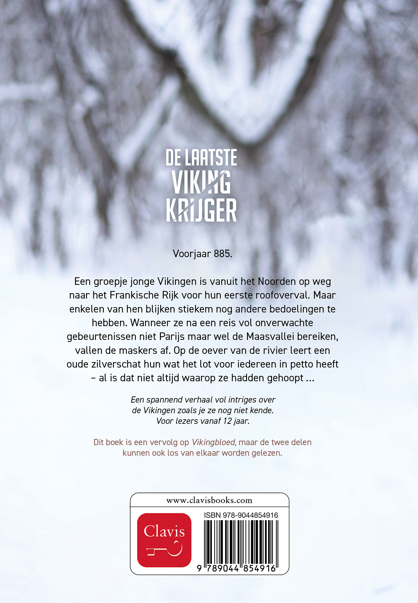 De laatste Vikingkrijger achterkant