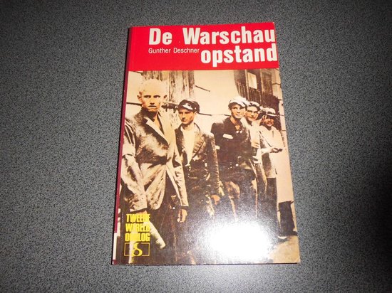 De Warschau-opstand