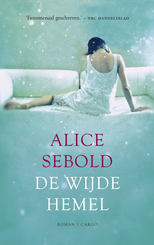boekenbalie_9789023475552_cover De wijde hemel
