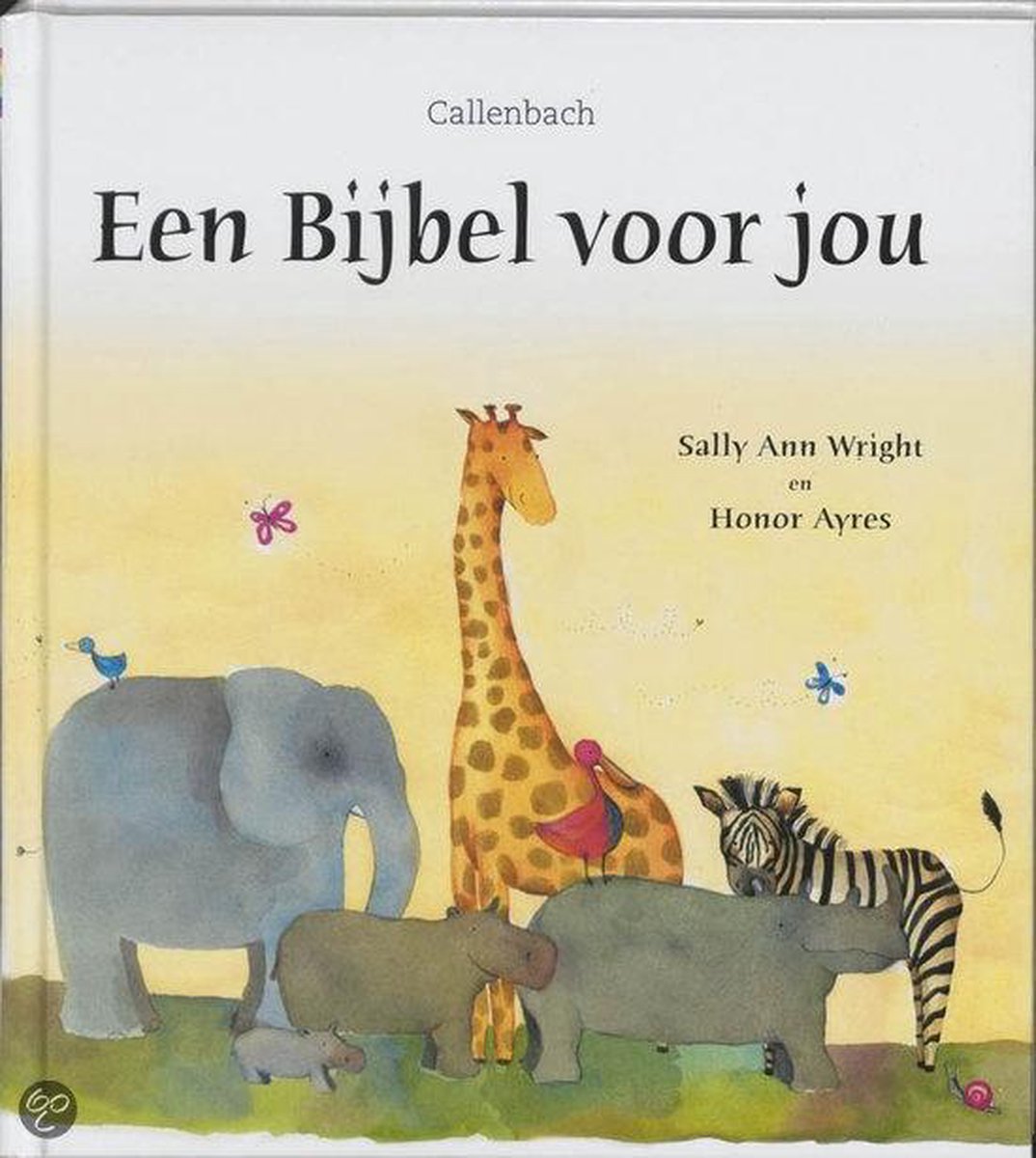 Sally Ann Wright Een Bijbel Voor Jou thumbnail