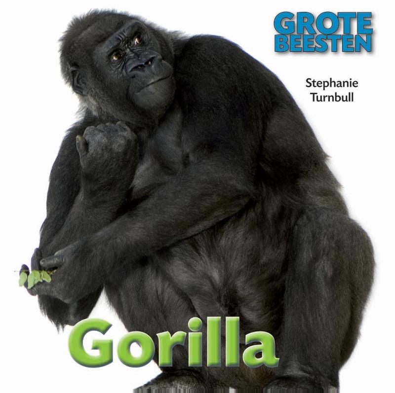 Gorilla / Grote Beesten