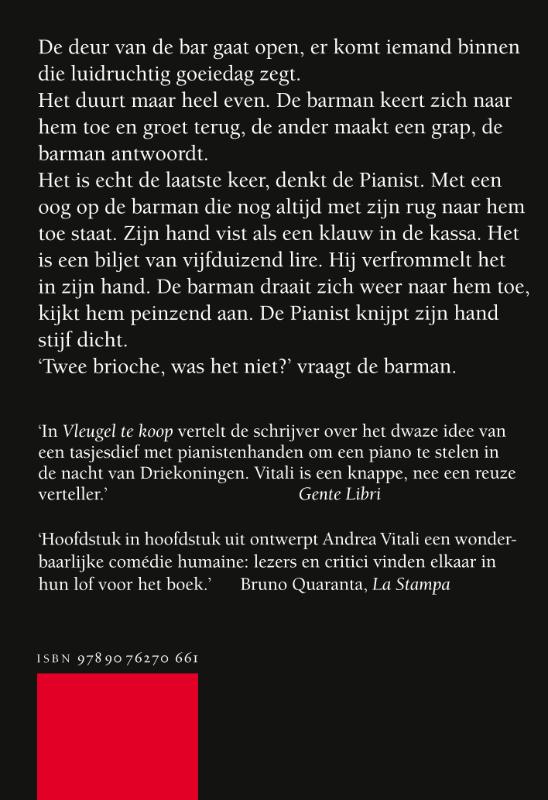 Vleugel te koop achterkant
