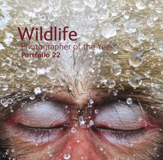Wildlife Photographer Of Yr Portfolio 22