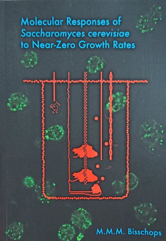 Molecular responses of saccharomyces cerevisiae to near-zero growth rates