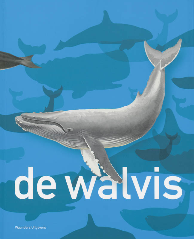 De Walvis