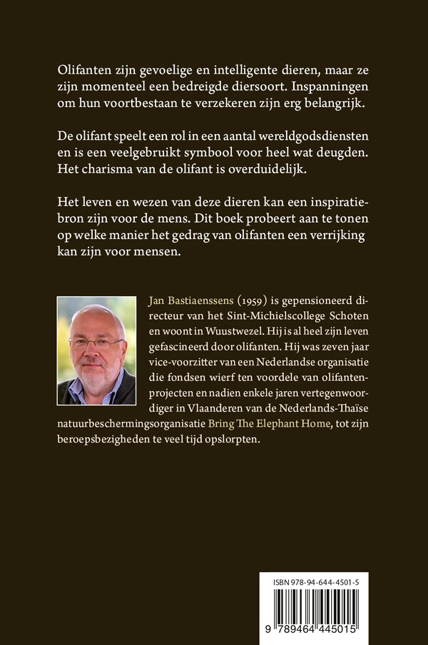 Het pad van de olifanten achterkant