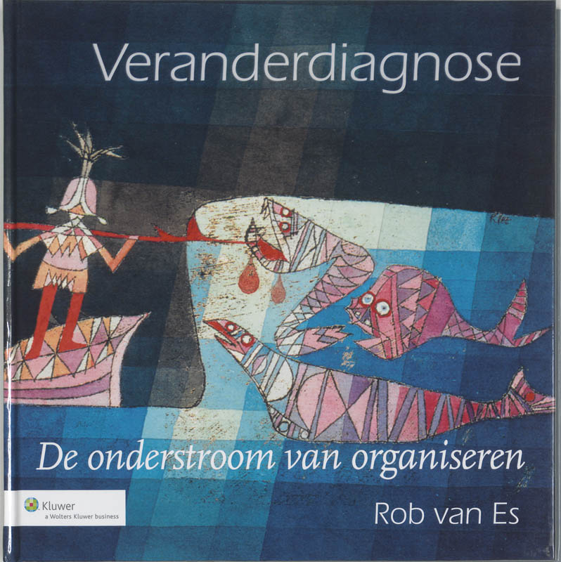 Rob van Es Veranderdiagnose / De Onderstroom Van Organiseren