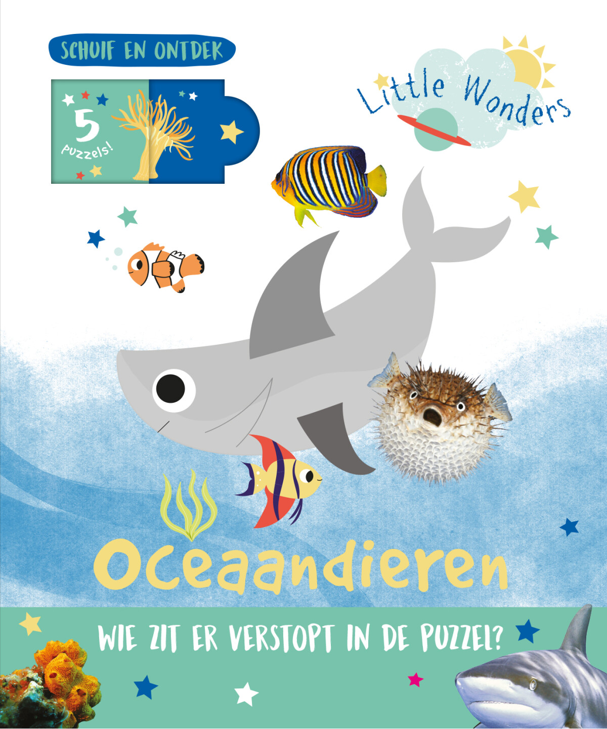 Oceaandieren / Little wonders