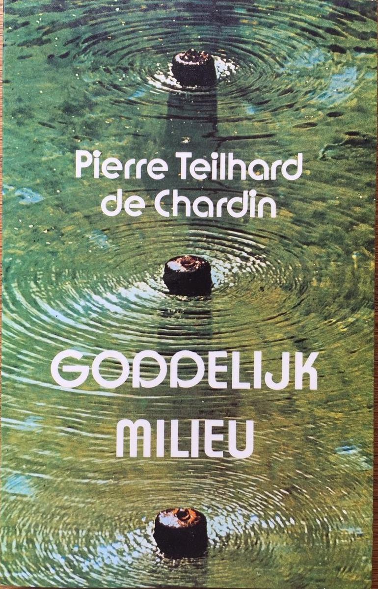 Teilhard Chardin Goddelyke Milieu thumbnail