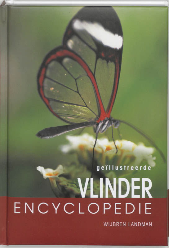 boekenbalie_9789036611794_cover Vlinder encyclopedie