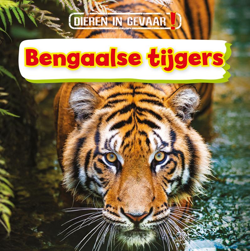 Bengaalse tijgers / Dieren in gevaar!