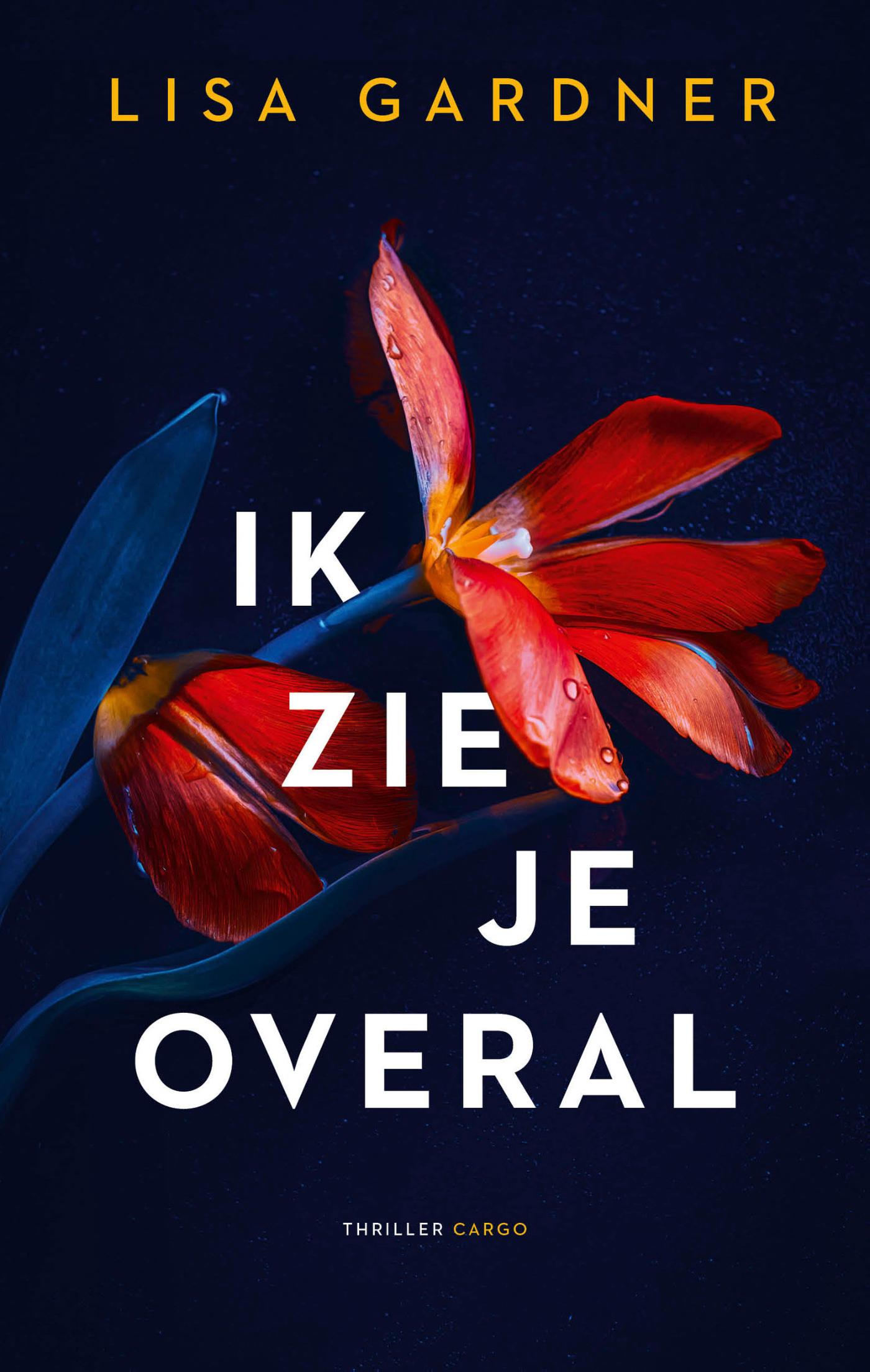 Lisa Gardner Ik Zie Je Overal / Frankie Elkin / 3