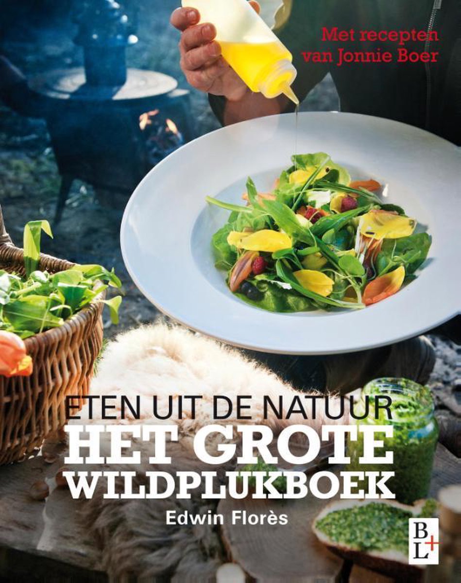 Het grote wildplukboek