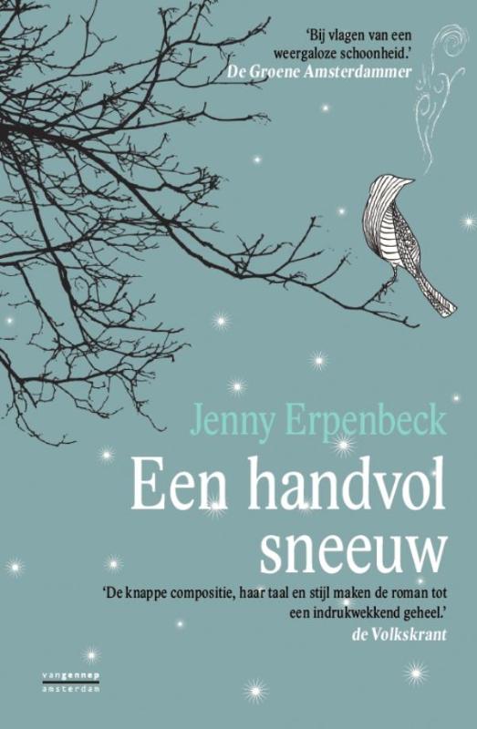 Een handvol sneeuw
