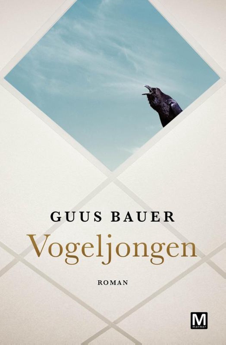 boekenbalie_9789460682841_cover Vogeljongen