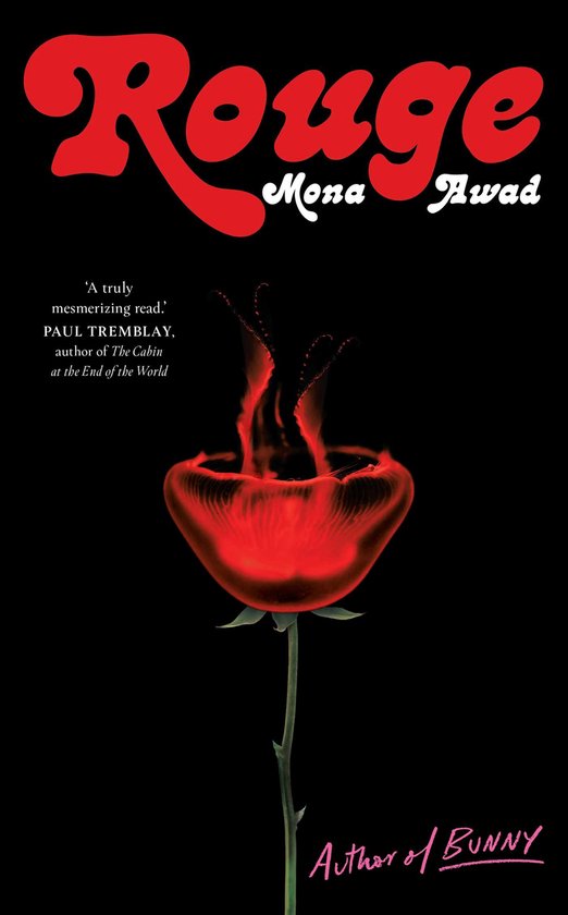 Mona Awad Rouge thumbnail