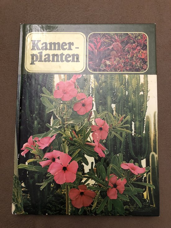 Kamerplanten