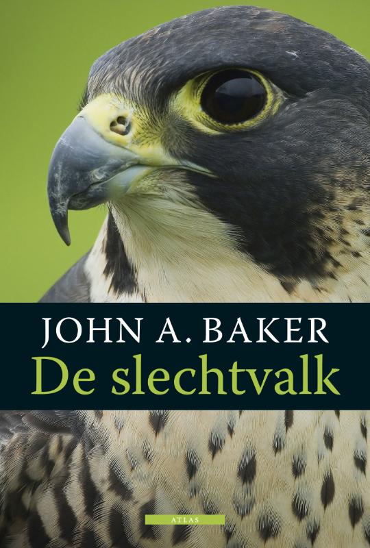 De slechtvalk / De vogelserie / 3