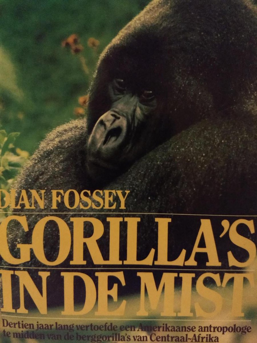 Fossey Gorilla's In De Mist thumbnail