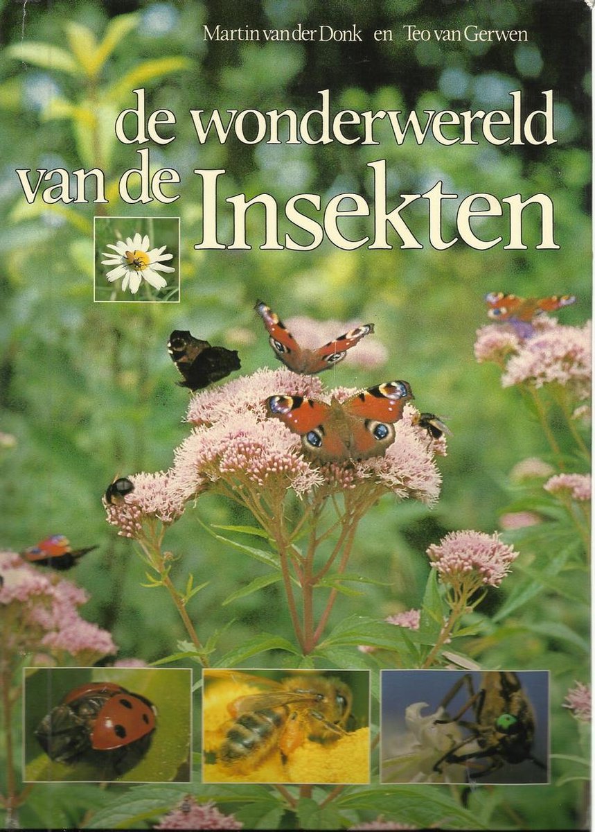 Donk De Wondere Wereld Van De Insekten