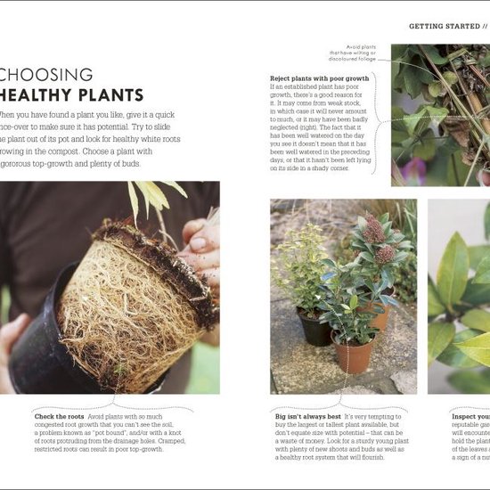 RHS How To Garden When You're New To Gardening : The Basics For Absolute Beginners