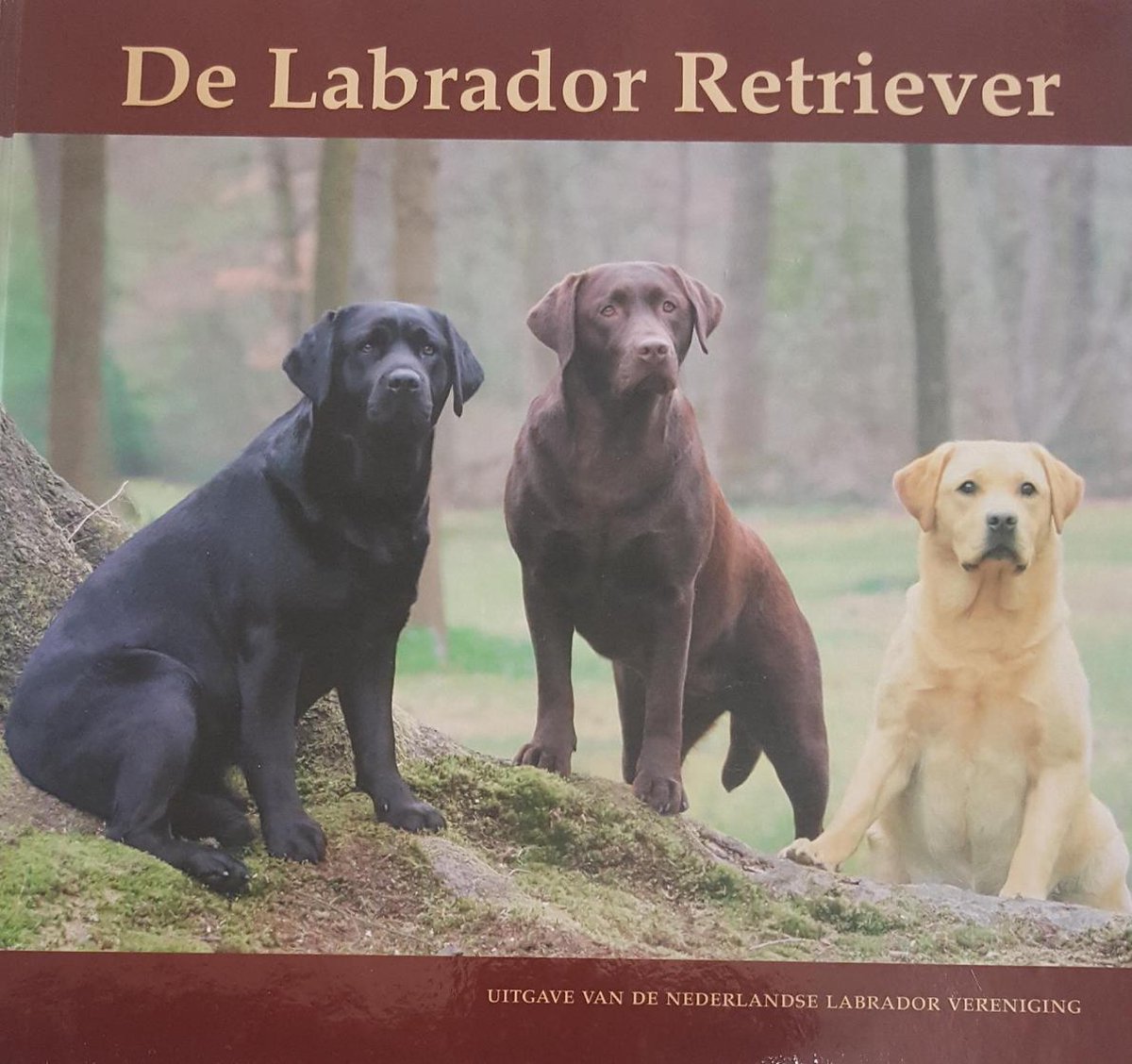 De Labrador Retriever thumbnail