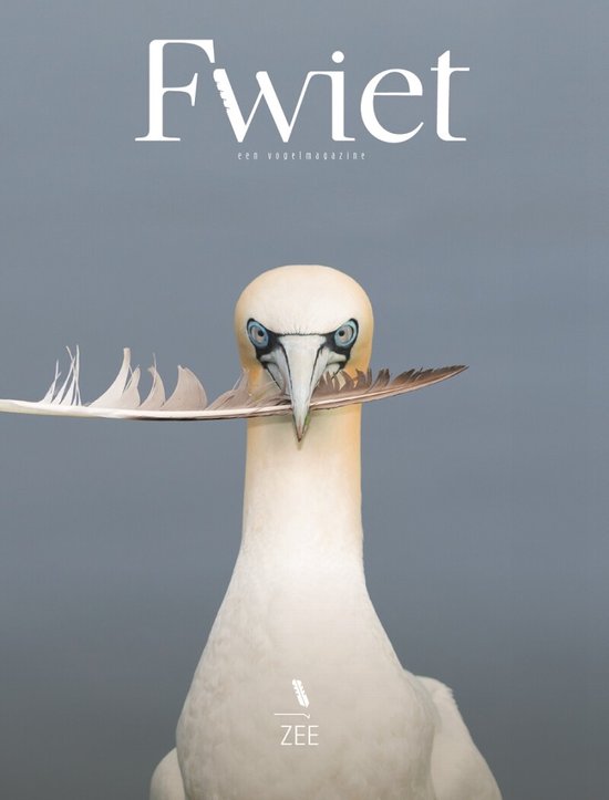 Fwiet - een vogelmagazine / Fwiet / 4